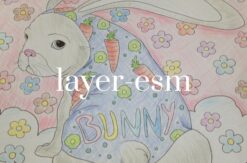 layer-esm
